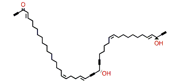Petroformyne 10